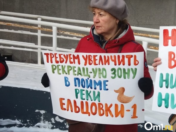 Новосибирцы вышли на пикет против строительства дороги в пойме реки Ельцовка-1