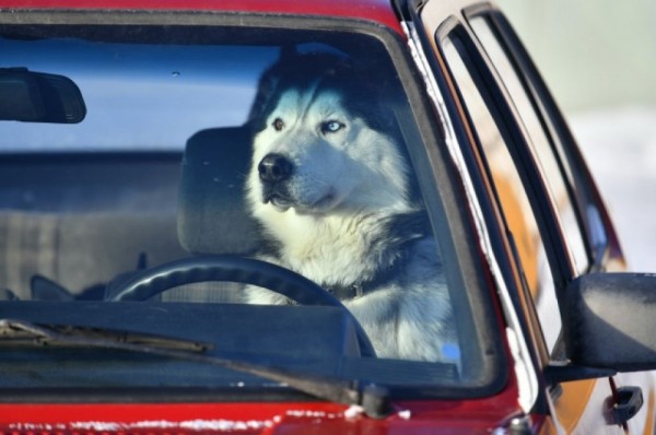 «Гиперборея-2020» собрала сильнейших спортсменов России в Крутой горке