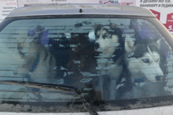 «Гиперборея-2020» собрала сильнейших спортсменов России в Крутой горке