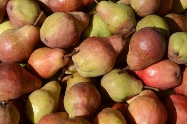 На омской границе задержали 20 тонн китайских груш