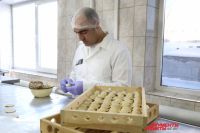 Омские осуждённые будут поставлять продукты и мебель для студентов