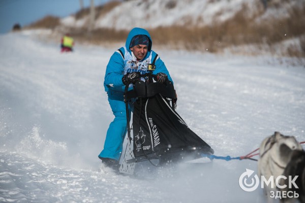 В 20-градусный мороз в Омске прошли гонки на хаски