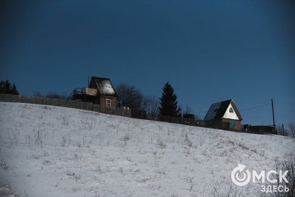 В 20-градусный мороз в Омске прошли гонки на хаски
