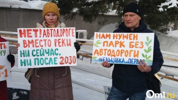 Новосибирцы вышли на пикет против строительства дороги в пойме реки Ельцовка-1