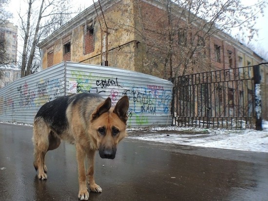 Росстат назвал "вымирающие" регионы