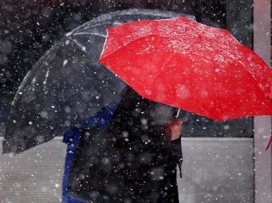 Стало известно, когда в Омск придет весна