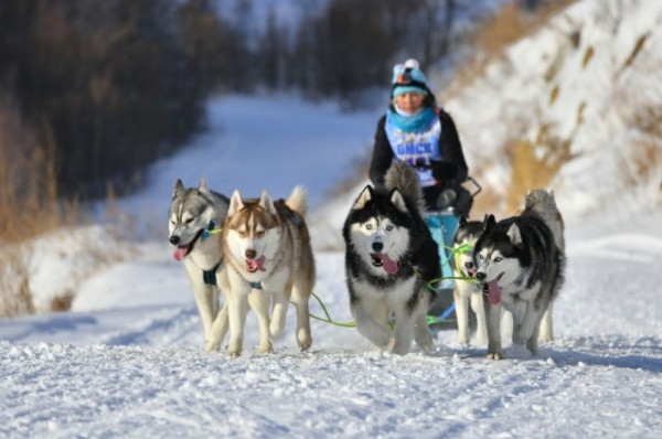 «Гиперборея-2020» собрала сильнейших спортсменов России в Крутой горке
