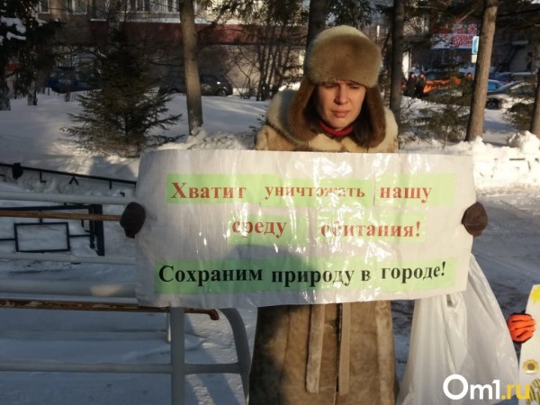 Новосибирцы вышли на пикет против строительства дороги в пойме реки Ельцовка-1