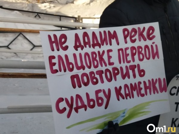 Новосибирцы вышли на пикет против строительства дороги в пойме реки Ельцовка-1