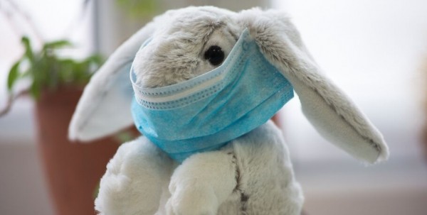 В омском Роспотребнадзоре опровергли информацию о введении масочного режима В омском Роспотребнадзоре опровергли информацию о введении масочного режима