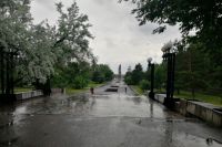 В Омске с бульвара Победы уберут площадку для выгула собак