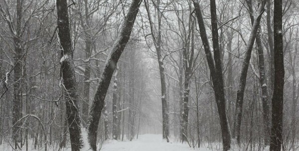 В Омской области на выходных ожидается похолодание В Омской области на выходных ожидается похолодание