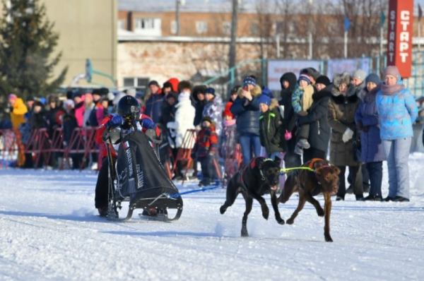 В Крутой Горке прошли гонки на собачьих упряжках &laquo;Гиперборея-2020&raquo;