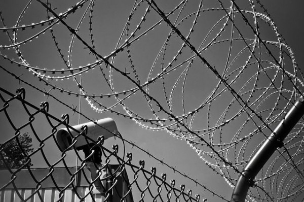 Омич пытался выгородить приятеля, который порезал его кухонным ножом