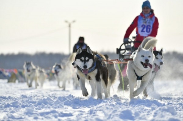 «Гиперборея-2020» собрала сильнейших спортсменов России в Крутой горке
