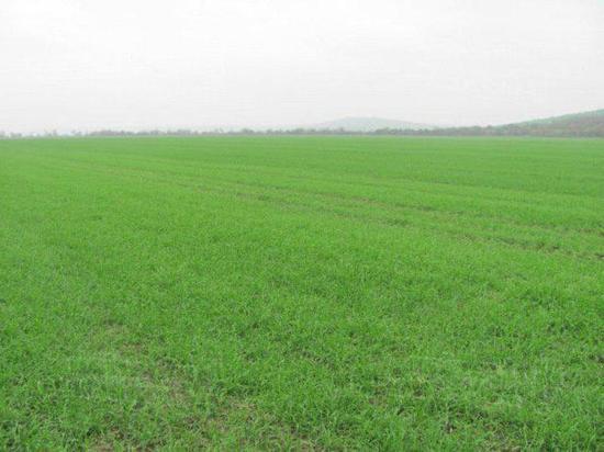 В Омске на первом арендном аукционе установлено несколько рекордов В Омске на первом арендном аукционе установлено несколько рекордов