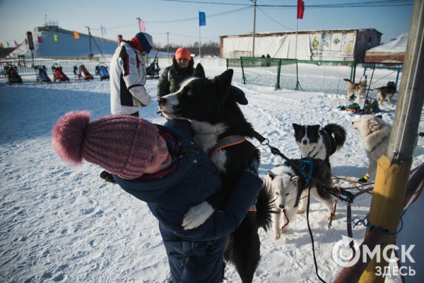 В 20-градусный мороз в Омске прошли гонки на хаски