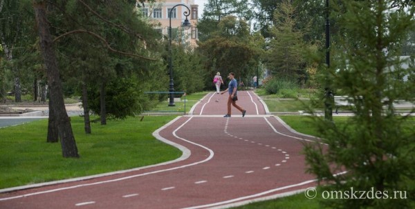 В сквере в центре Омска обнаружили загубленные молодые ели