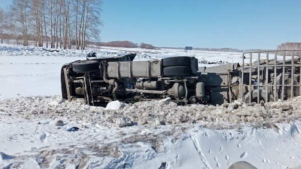 В Омской области столкнулись два большегруза, есть пострадавшие В Омской области столкнулись два большегруза, есть пострадавшие