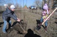 Память останется на века. Как будет проходить акция «Сад памяти» в Омске