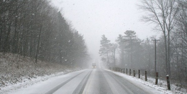Жителей Омской области предупреждают о сильном ветре и дождях Жителей Омской области предупреждают о сильном ветре и дождях