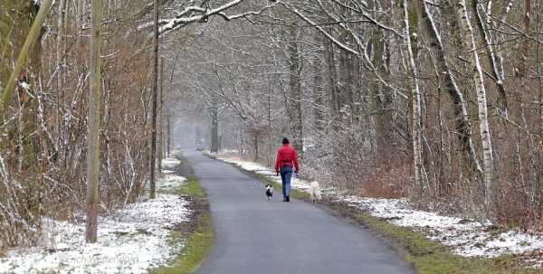 Врач-иммунолог: организм омичей приспособился к нашей экологии