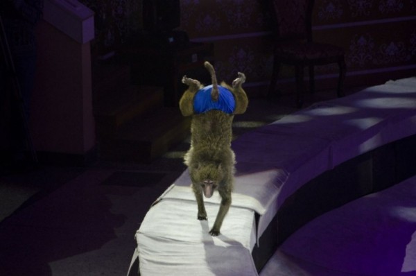 «Песчаная сказка». Новое цирковое шоу для омичей «Песчаная сказка». Новое цирковое шоу для омичей