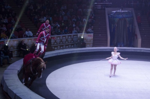 Чудеса Востока. Невероятные приключения в омском цирке