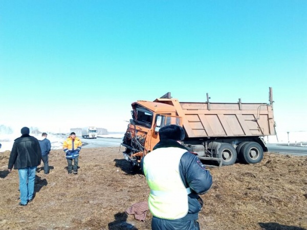 В Омской области столкнулись два большегруза, есть пострадавшие В Омской области столкнулись два большегруза, есть пострадавшие