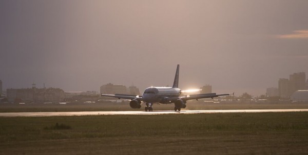 Омский аэропорт закупает зеркала для отпугивания птиц