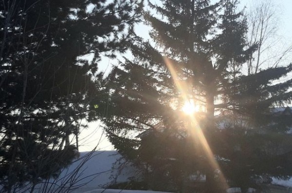 В конце рабочей недели в Омске ударят сильные морозы