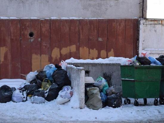 Бизнесменов оштрафовали на 2 миллиона за незаконный вывоз мусора