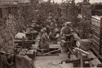 Жизнь и судьба офицера «Авроры». Как оказался в Сибири Александр Розенталь