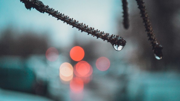 Кабы не было зимы: кто выиграл, а кто проиграл от отсутствия морозов в Омской области 