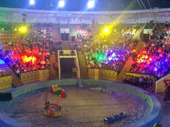 Омский цирк закрылся на неопределенное время Омский цирк закрылся на неопределенное время