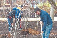 Память останется на века. Как будет проходить акция «Сад памяти» в Омске