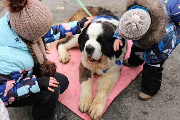 Танцы с медведями vs рейв-хоровод: две Масленицы в Омске 