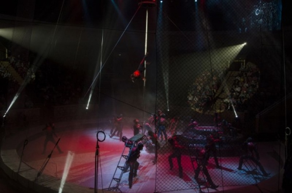 Чудеса Востока. Невероятные приключения в омском цирке