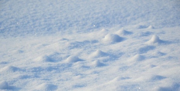 В Омской области похолодает до -13 градусов В Омской области похолодает до -13 градусов