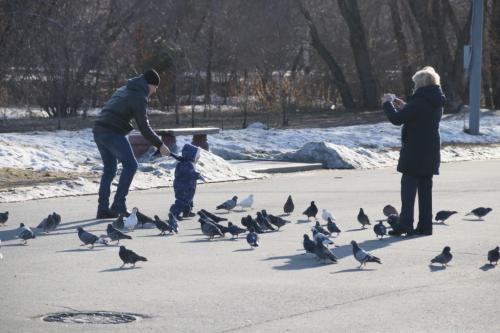 Омск: карантинные хроники. Часть 2