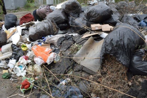 Народный фронт призывает администрацию проверить у юрлиц мусорные договоры