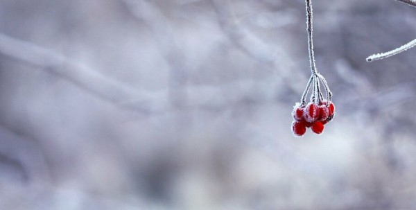 К концу рабочей недели в Омской области похолодает до -13 К концу рабочей недели в Омской области похолодает до -13