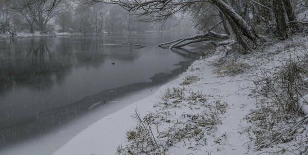 К 8 марта в Омской области потеплеет до +3 градусов К 8 марта в Омской области потеплеет до +3 градусов