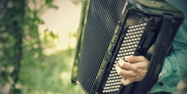 Миллион за баян: омский музколледж покупает профессиональные инструменты Миллион за баян: омский музколледж покупает профессиональные инструменты