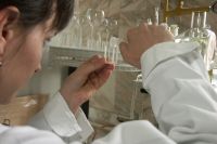 Из-за коронавируса омичи смогут уехать в Казахстан только по загранпаспорту