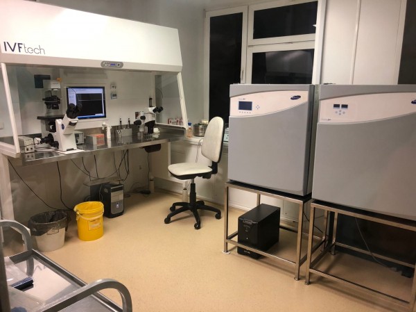 Золотые дети. Как в Омской области сделать ЭКО по полису