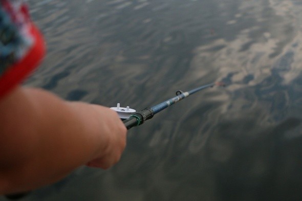 Кабы не было зимы: кто выиграл, а кто проиграл от отсутствия морозов в Омской области 