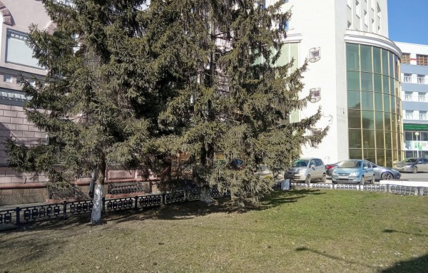 Омск на всеобщей самоизоляции: весна vs коронавирус 