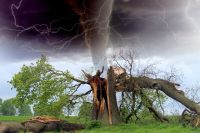 Стихия и самоизоляция не мешают омским мусорщикам работать дотемна