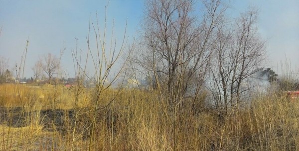 В солнечный день Омск заволокло дымом В солнечный день Омск заволокло дымом